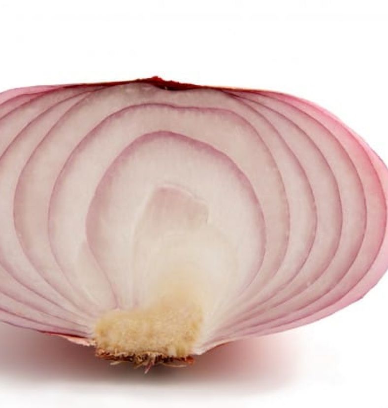 onion Enkarterri bizkaia