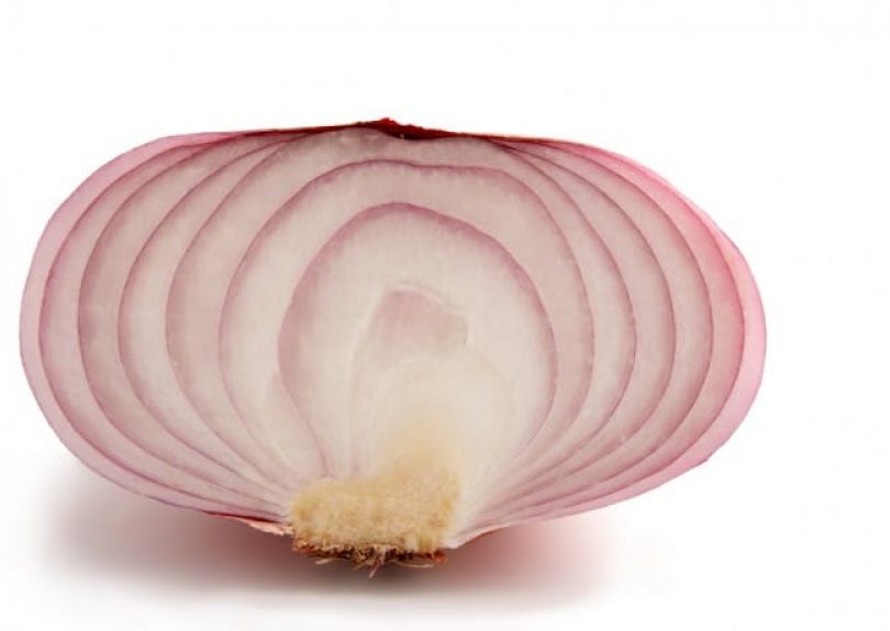 4. onion Enkarterri bizkaia