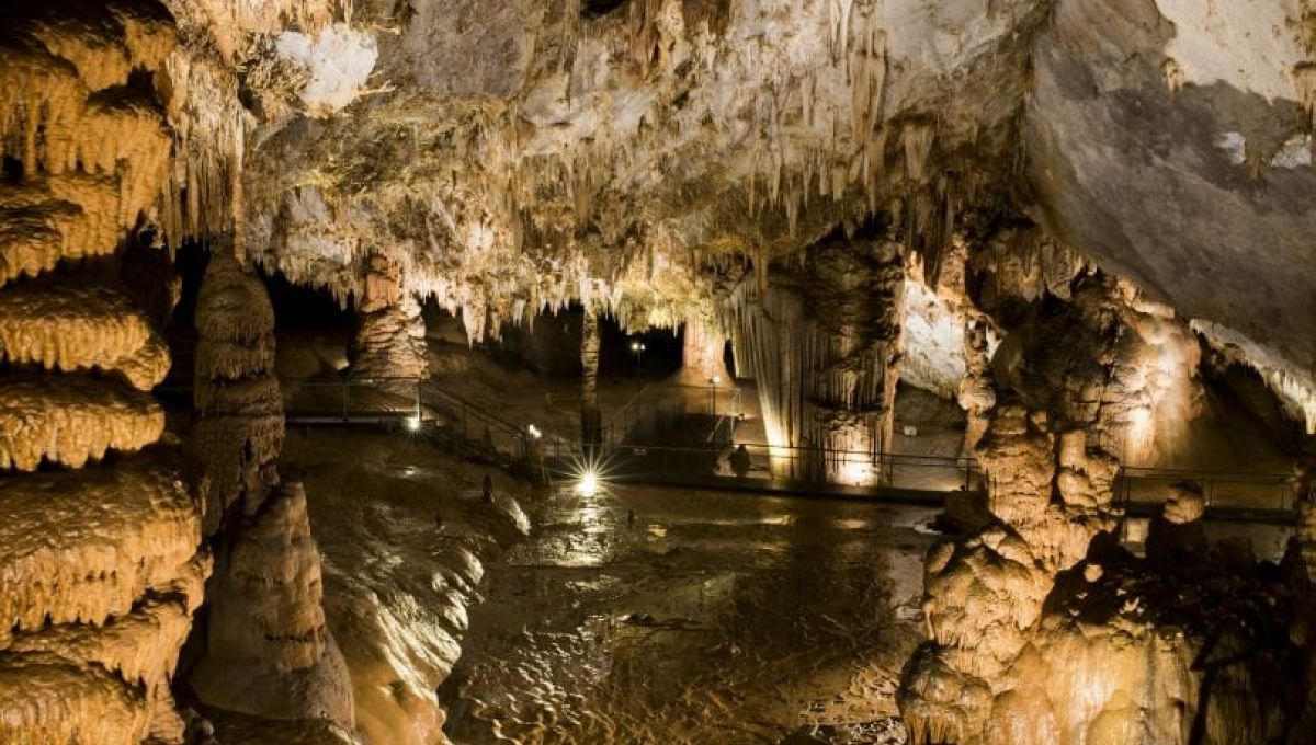 Pozalagua Cave