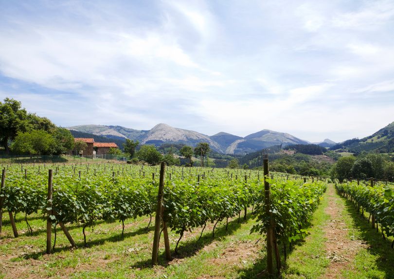 2071_20711904bodegasgaldames-es-real-es-real-eu-Real.jpg
